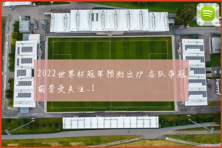 2022世界杯冠军预测出炉 各队争冠前景受关注_1