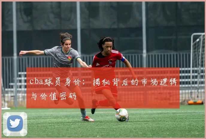 cba球员身价：揭秘背后的市场逻辑与价值密码