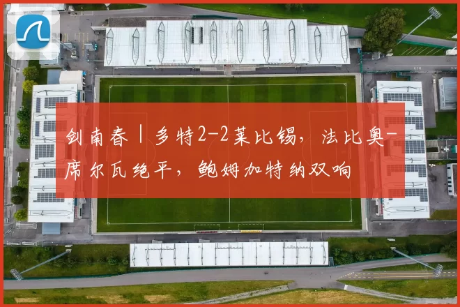 剑南春｜多特2-2莱比锡，法比奥-席尔瓦绝平，鲍姆加特纳双响